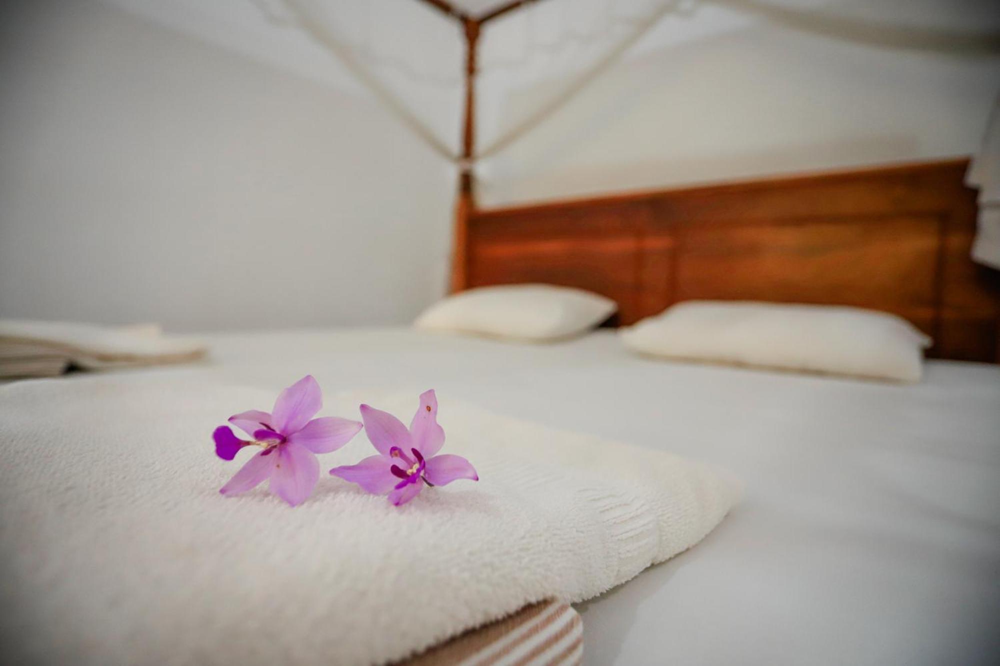 Serene Home Stay Udawalawe Exterior foto